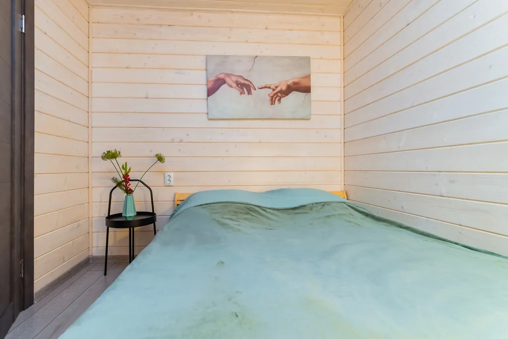 Домик Barn50 без купели 50 м2