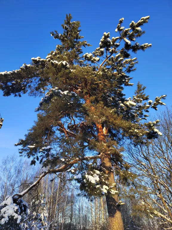 Загородный дом с русской баней