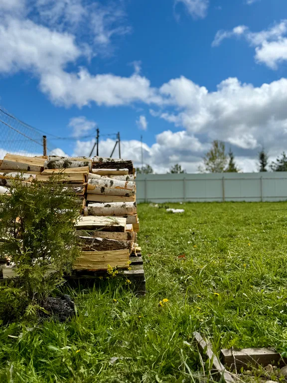 Petrushkа Просторы