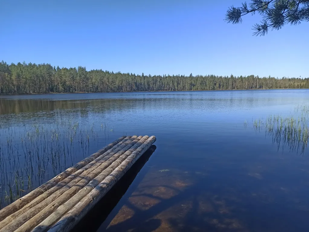 Дом в лесу рядом с озером