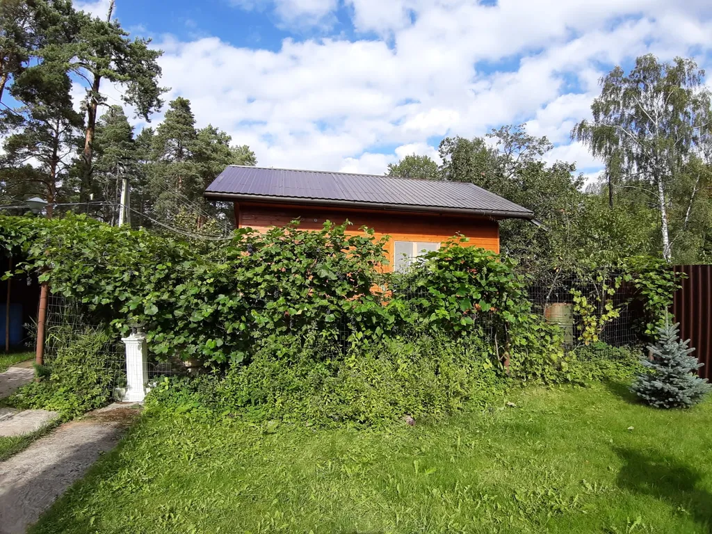 Коттедж Уютный домик с подогревом и добствами у озера Омчино для двоих человек — Луга