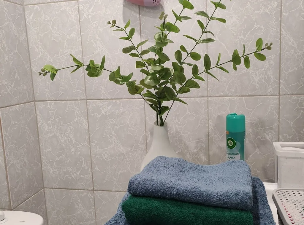 Апартаменты Скандинавия в 5 минутах от Ерофей Арены