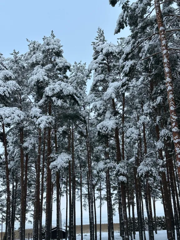 Дом на берегу Псковского озера