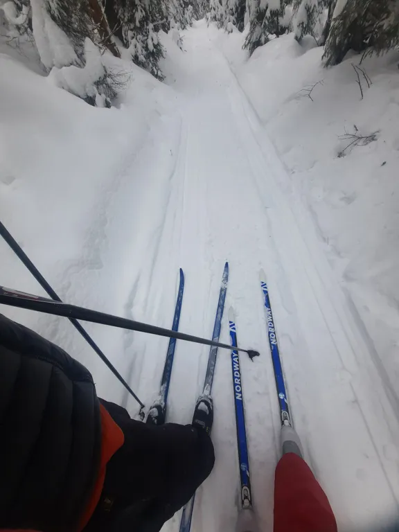 Домик у Горьковского водохранилища. Большой Суходол