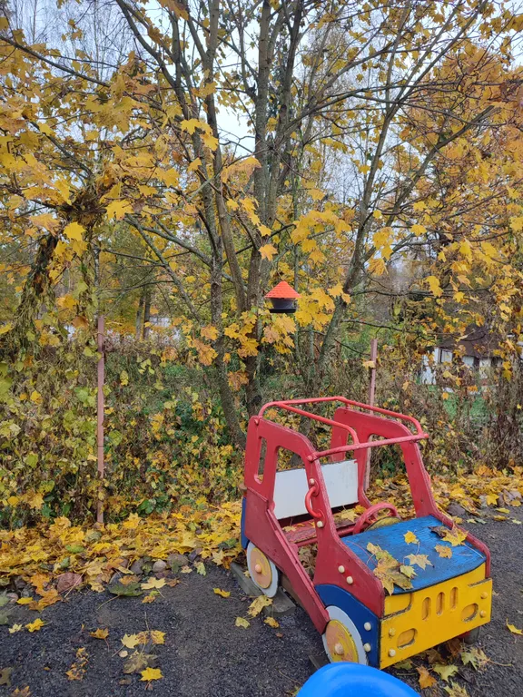 Птица синица House с огромным балконом у озера