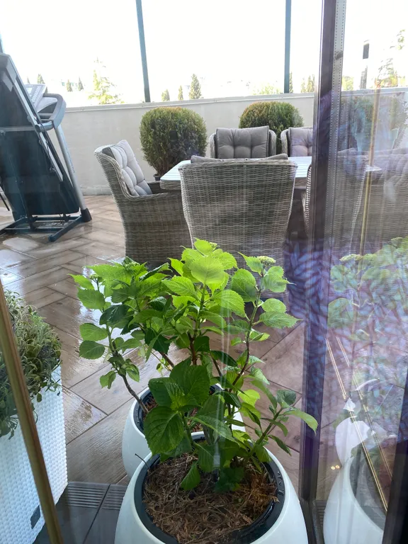 Большая квартира с террасой