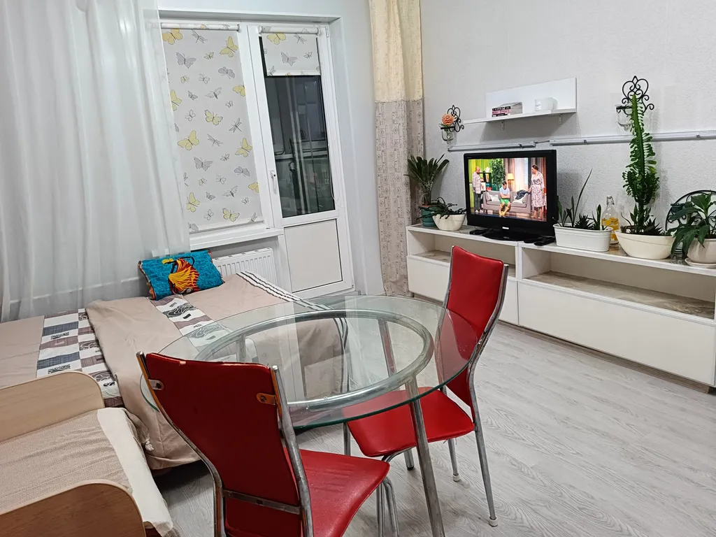 Квартира Студия с видом на закат — аренда посуточно в Мурино