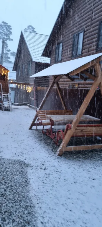 Карета домик