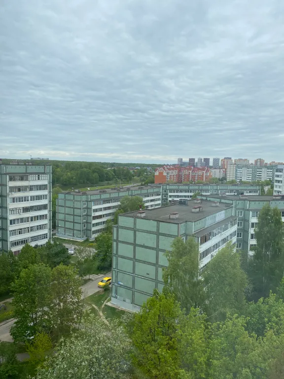 Уютная 3-комнатная квартира с видом на парк