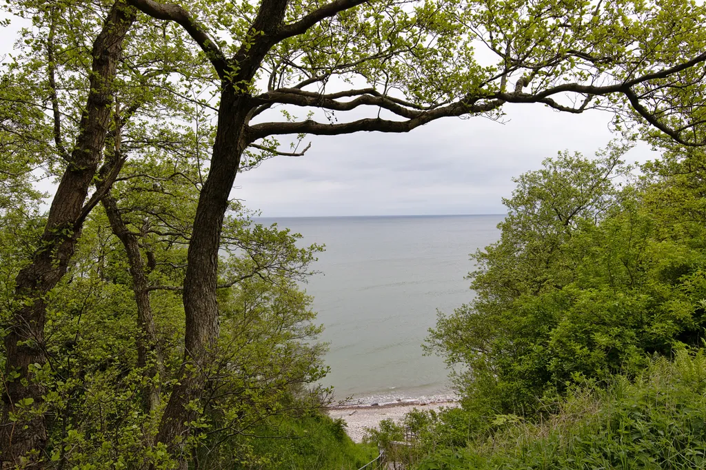 Квартира Терракотовый бриз у Балтийского моря — Пионерский