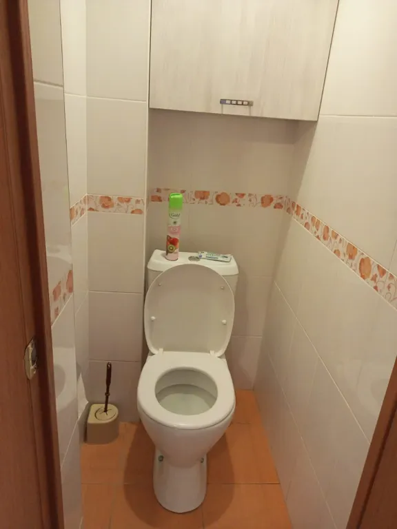 Просторная квартира рядом с центром города