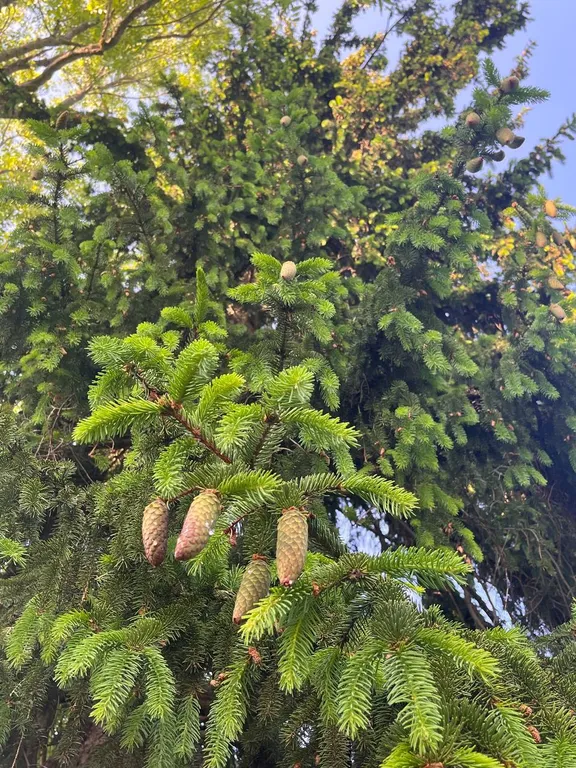 Гостевой домик на хуторе Керино