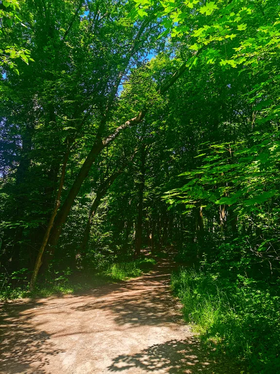 Барнс дача у моря