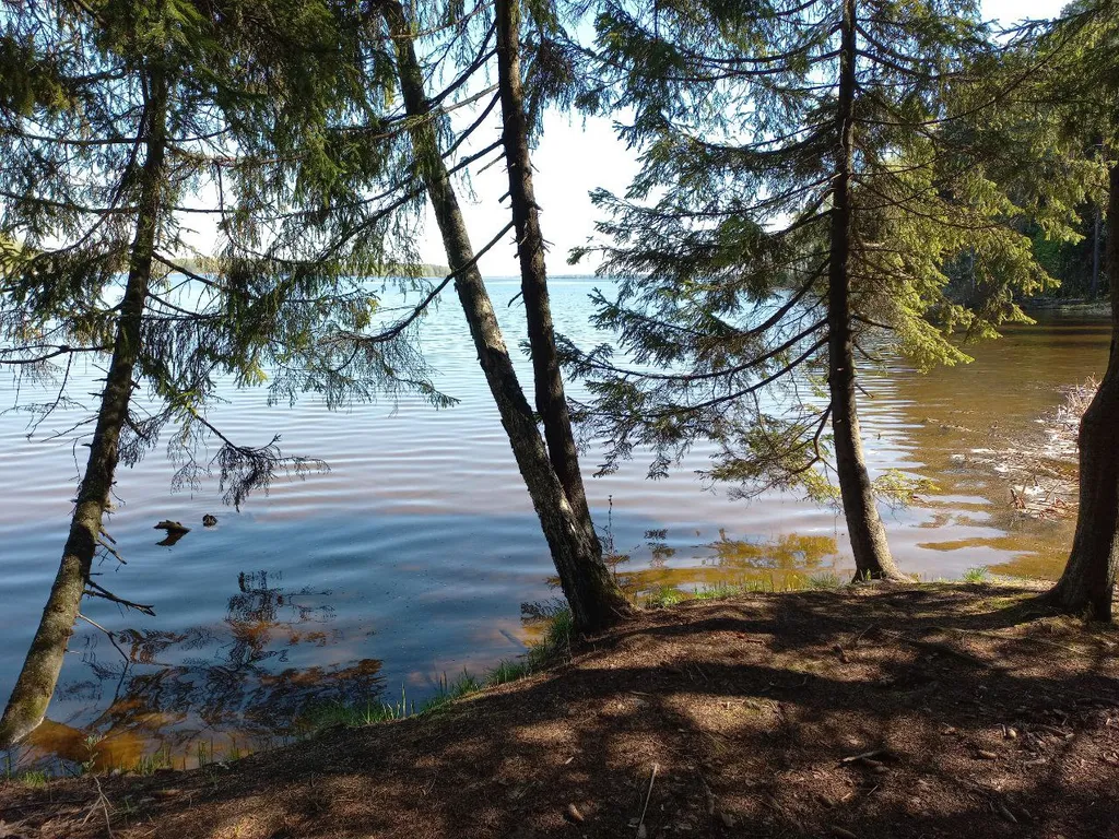 Дом с террасой, сауной рядом с лесом и пляжами