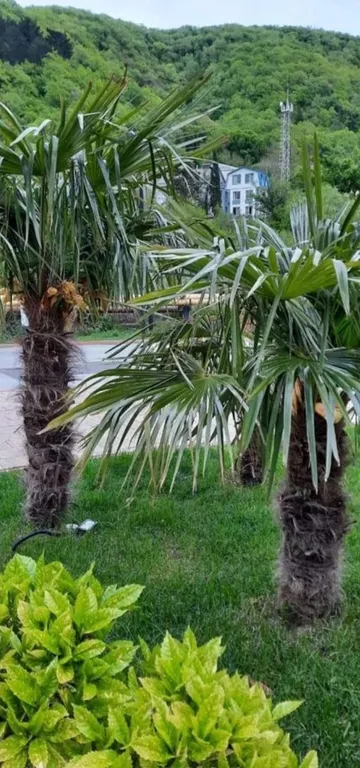 Студия с изумительным видом из окна на реку и горы