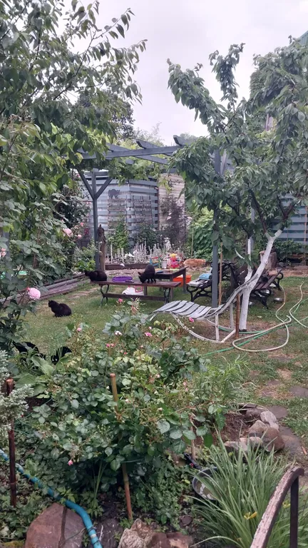 Домик с удобствами и кухней Персиковая поляна