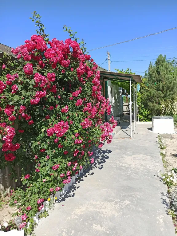 Уютный дом в зеленом дворе