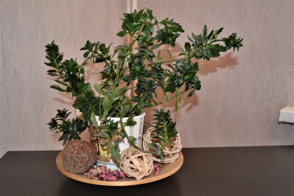 Просторная квартира в тихом центре рядом с Дворцом культуры и парком