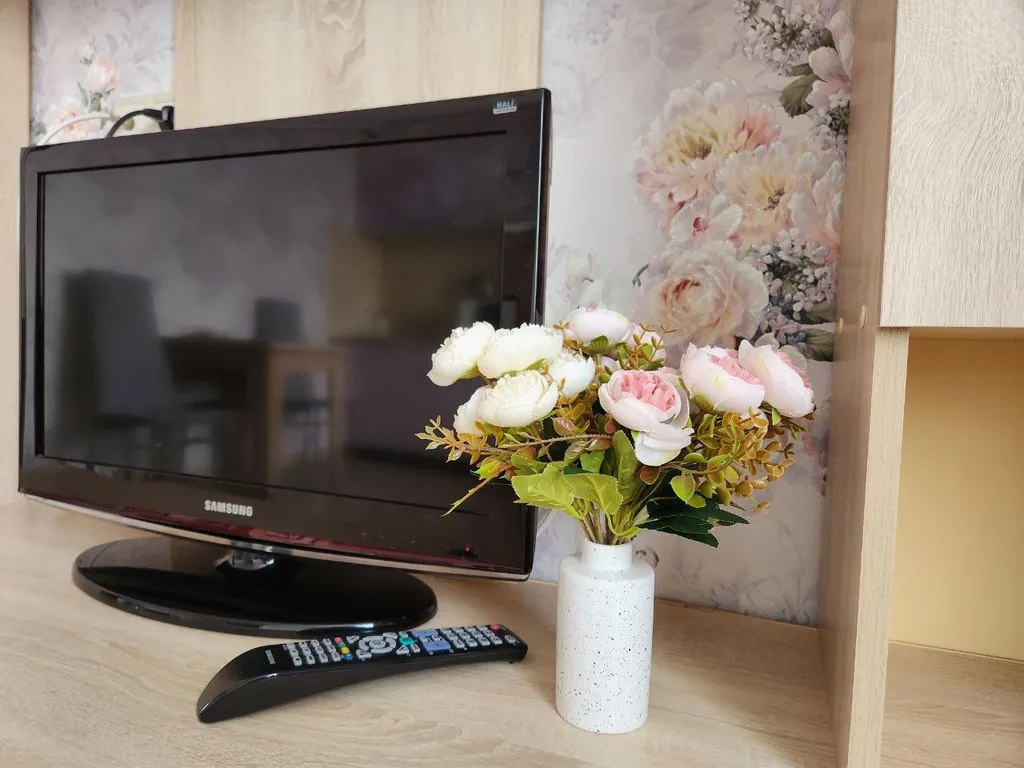 Студия с шикарным видом на лес