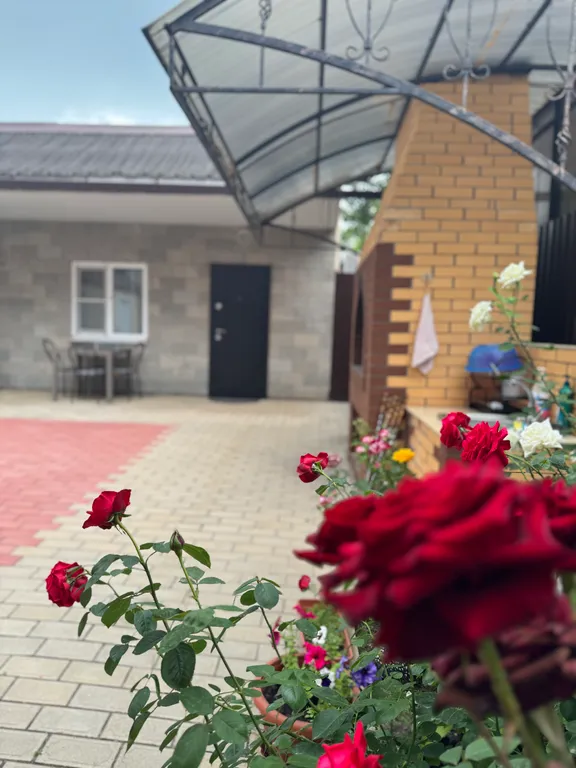 Шикарный  апартамент