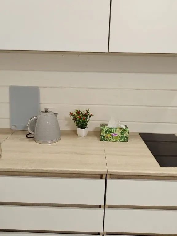 2- х комнатный таунхаус на Люпиновом поле