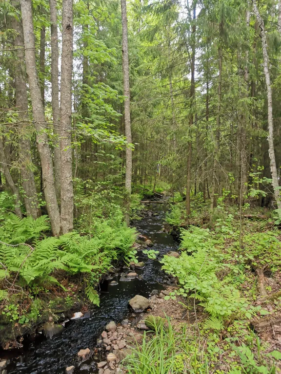 Коттедж Скандинавия - дом на берегу Онежского озера в 25 километрах от Петрозаводска — Деревянное