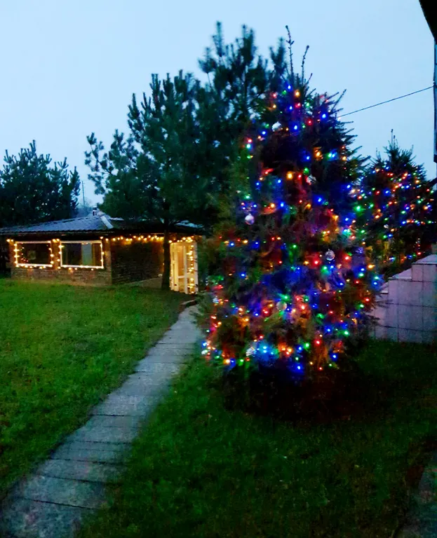 Дом с шикарной беседкой на озере