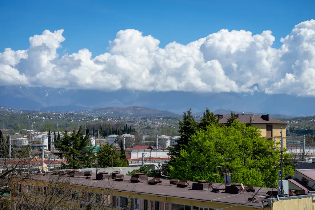 Квартира 1-комнатная Квартира — Адлер