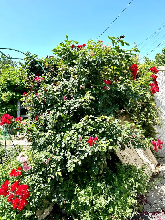 Уютная квартира рядом с морем в частном доме с садом