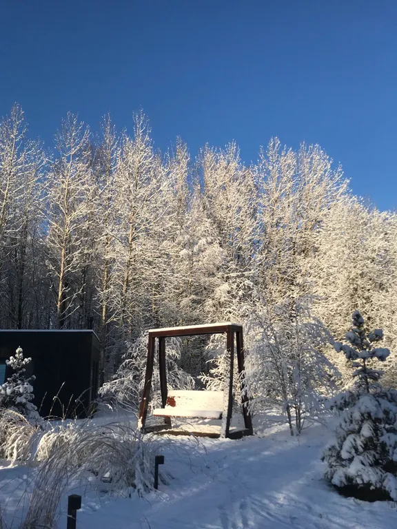 Коттедж Домики с панорамными окнами и видом на лес — Глинка