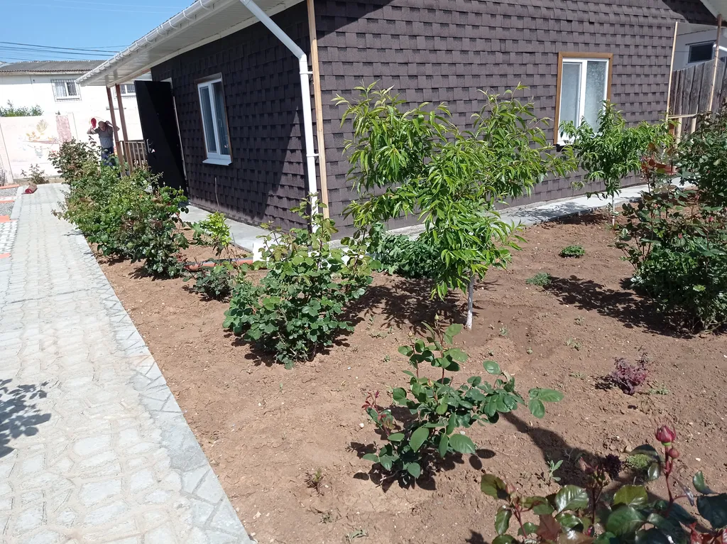 Квартира Комната — Витино