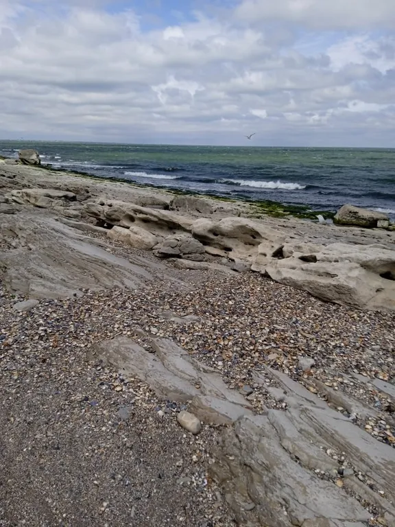 Комната на берегу