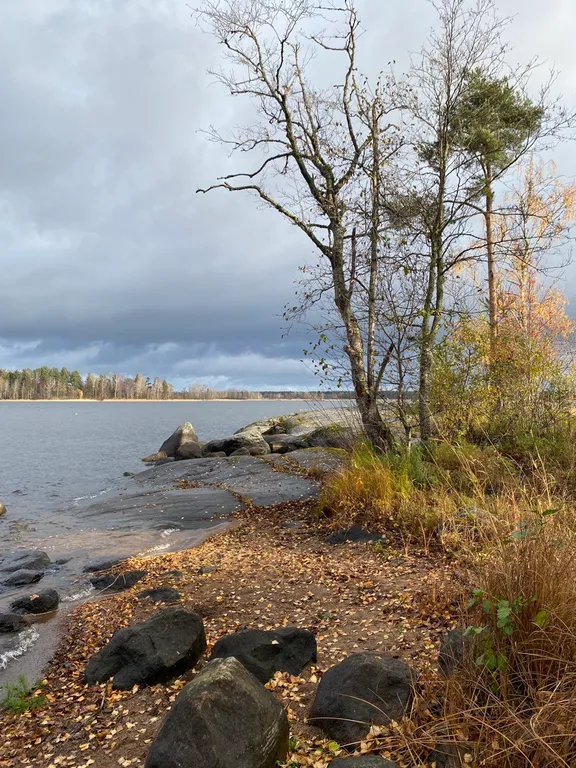 Коттедж Панорамный домик в стиле афрейм на Вуоксе — Кротово