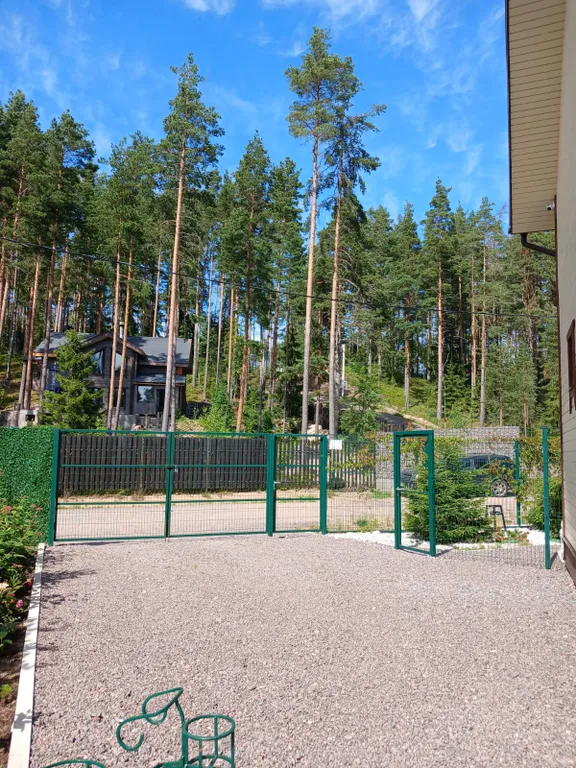 Уютный новый дом в сосновом лесу на берегу Финского залива