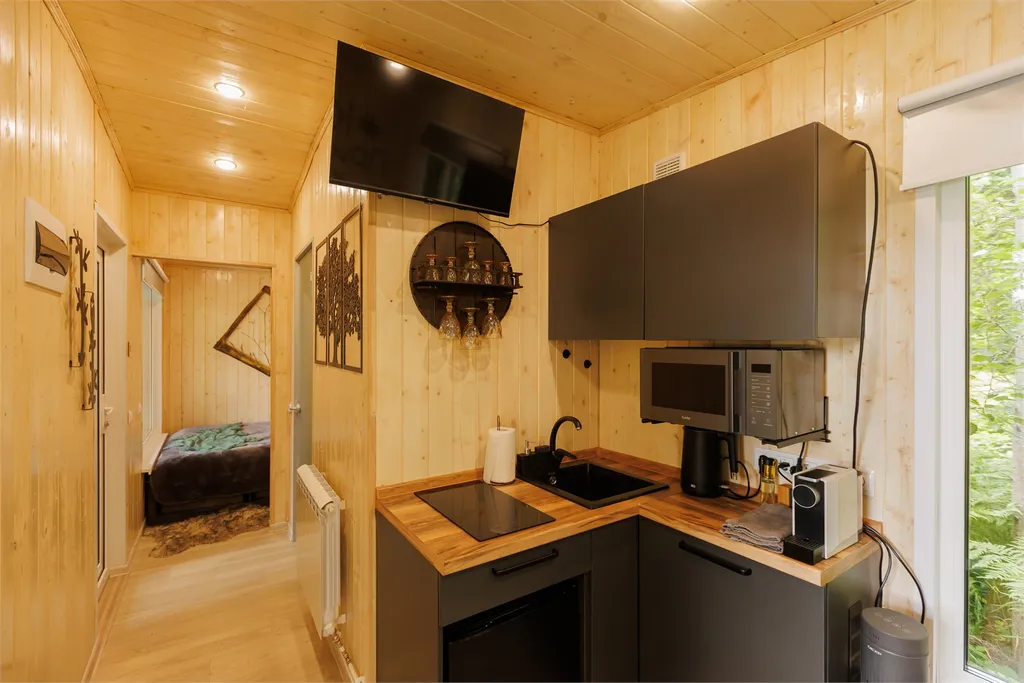 Коттедж 1-комнатный Дом — Бор