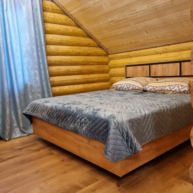 Дом на Алтае