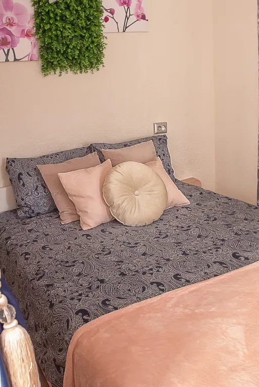 С Видом на Собор Петра и Павла