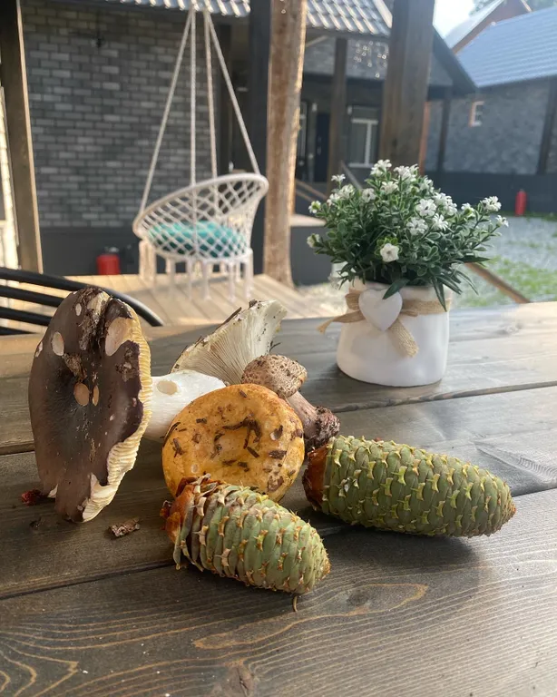 Коттедж 1-комнатный Дом — Архыз