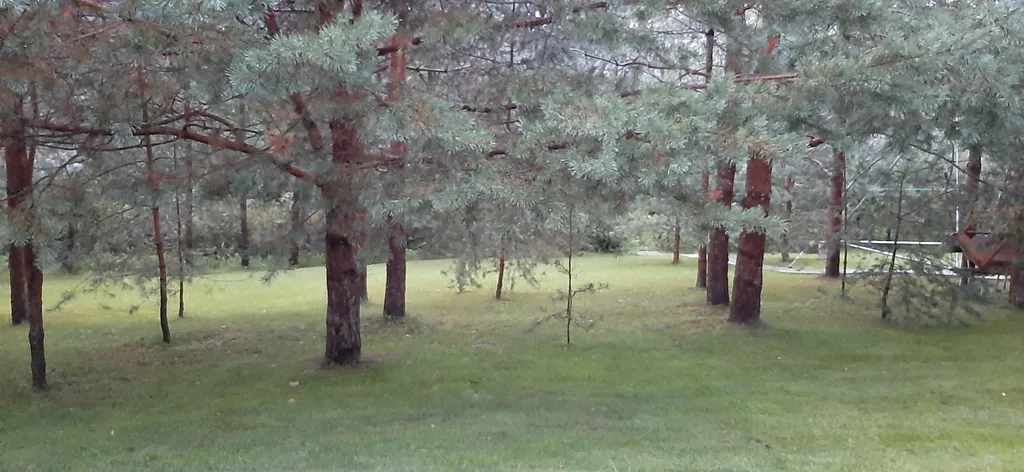 Домик у озера