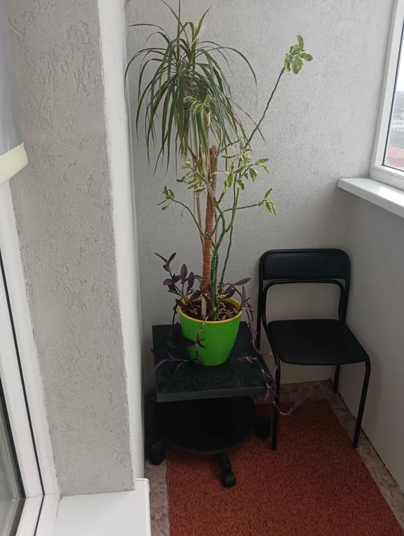 Новая квартира