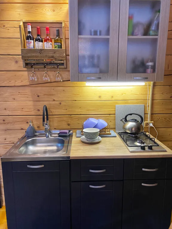 Дом-Баня у речки