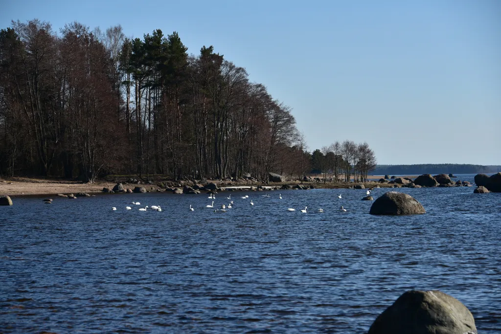 Коттедж Домик Коиви в Приморске — Приморск