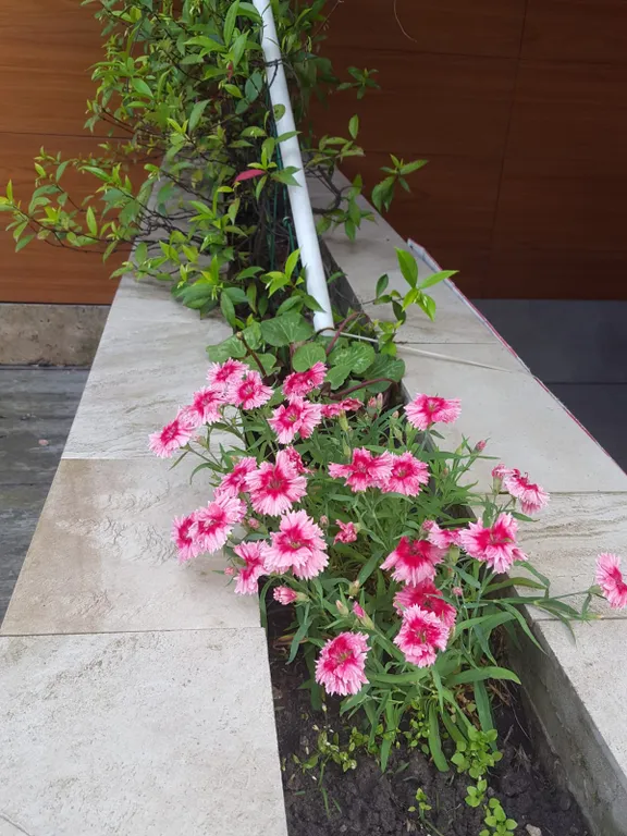 Квартира с террасой от моря в 100 метрах