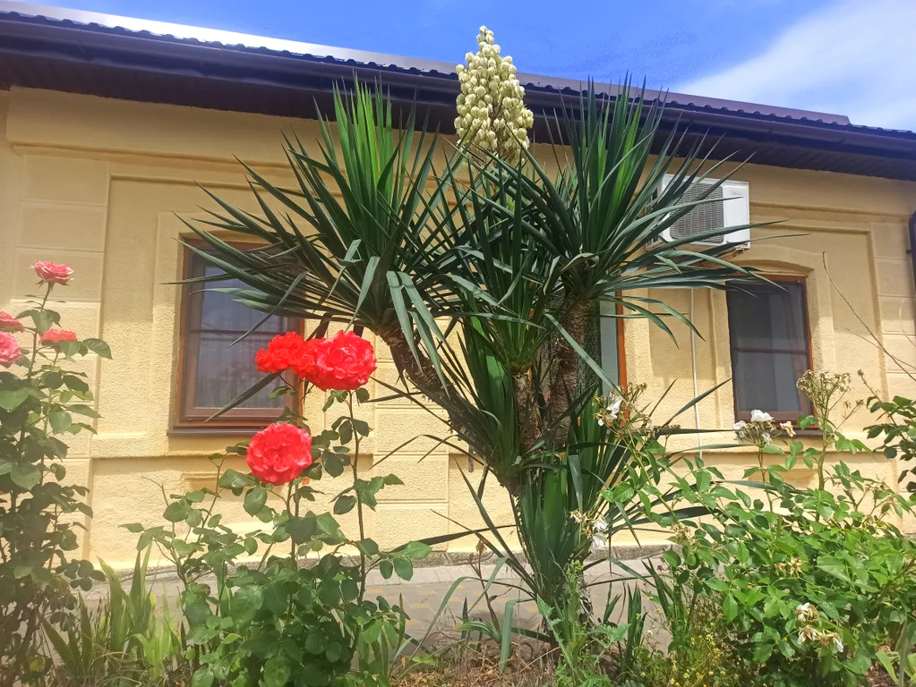 Коттедж Домик у Ларисы — Анапа