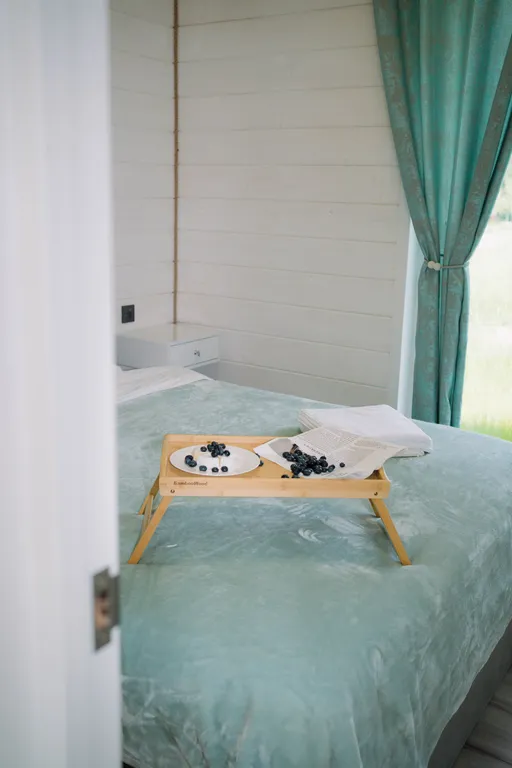 Загородный дом Парус с оленями