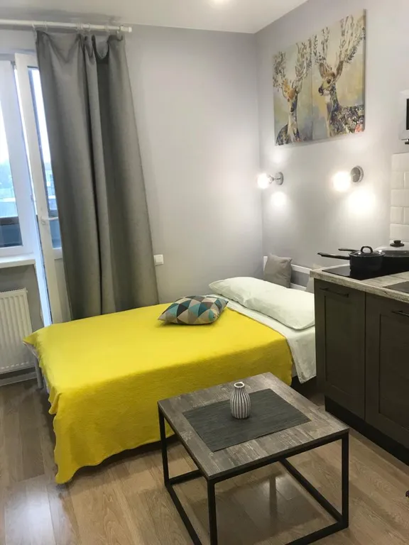 Квартира Уютная студия — аренда посуточно в Одинцово