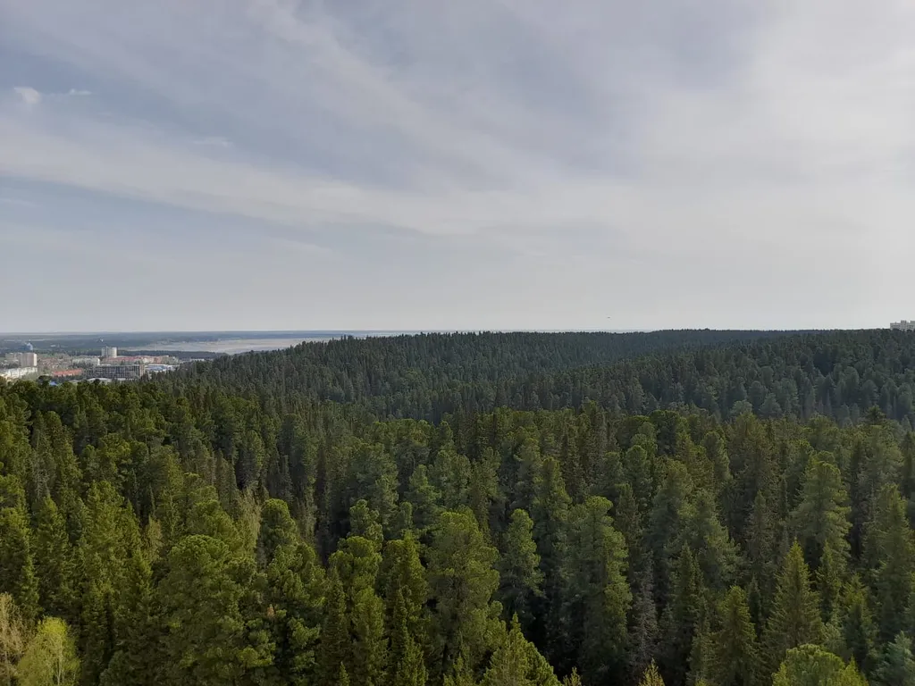 Уютные и просторные апартаменты с шикарным видом на лес