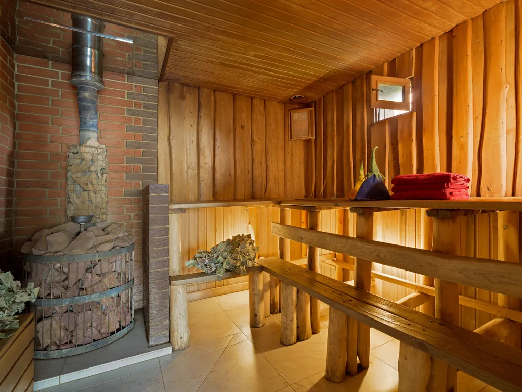 Гуси Лебеди