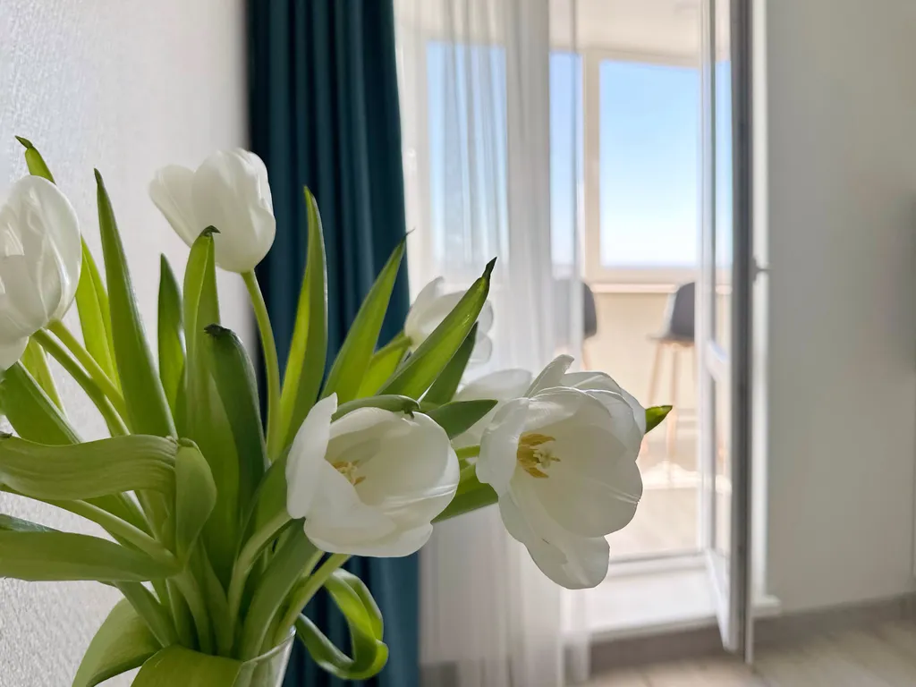 Уютные апартаменты в новостройке