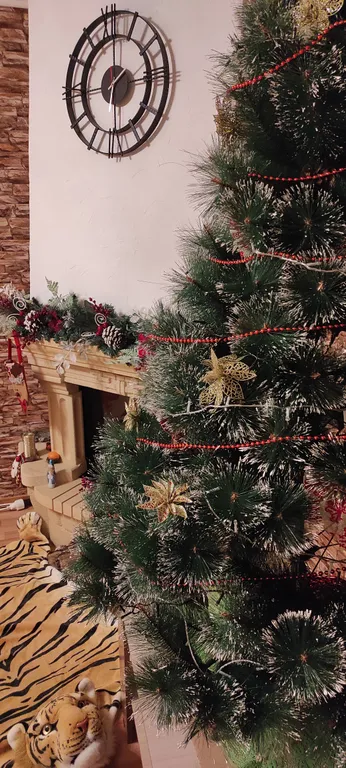 Квартира Апартаменты у Белой Башни с живописным видом, в шаге от Кремля — Великий Новгород